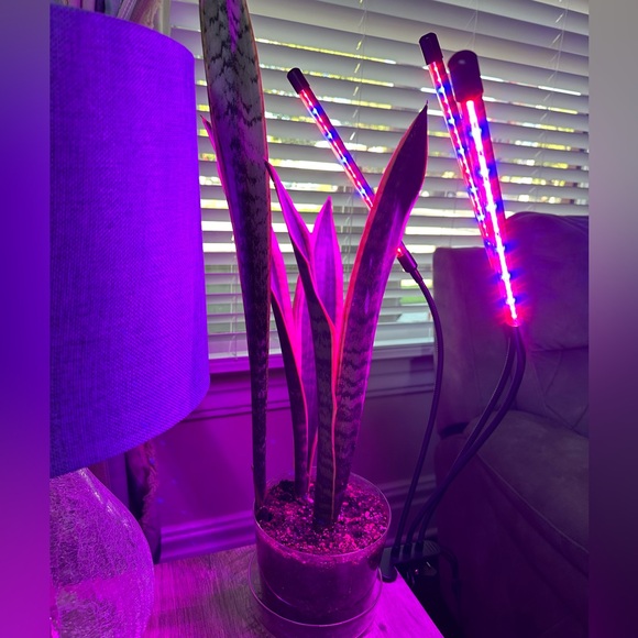 Gooseneck Clip On Grow Light - Picture 2 of 4